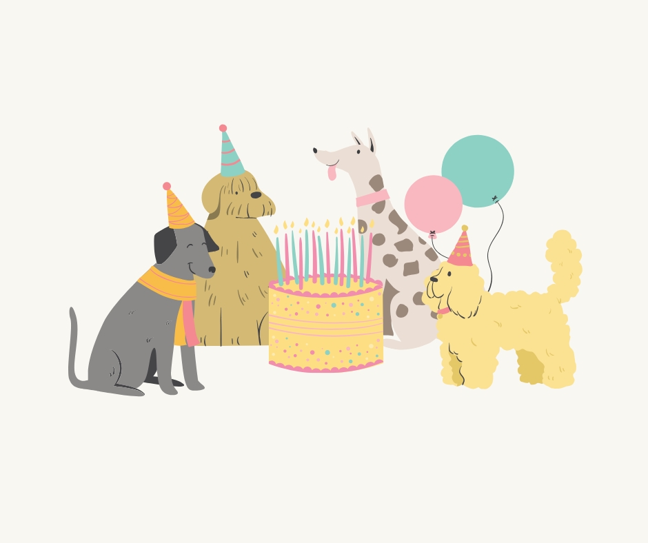 How to Make a Birthday Cake for a Dog