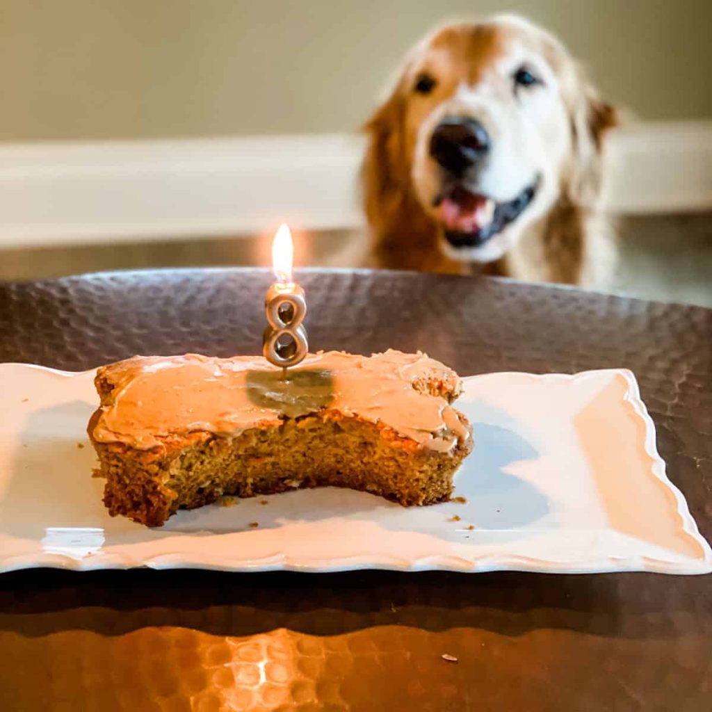 Dog Birthday Cake Recipes